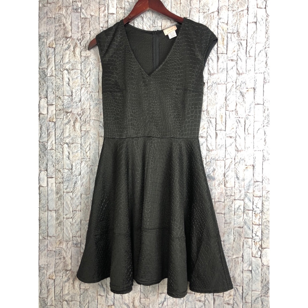 Love Ady Sleeveless Black A-Line Dress